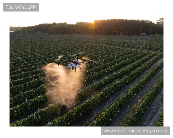自动化营销邮件与推送矩阵 强化了赛事预热期的赞助权益曝光 自动化营销邮件与推送矩阵 强化了赛事预热期的赞助权益曝光